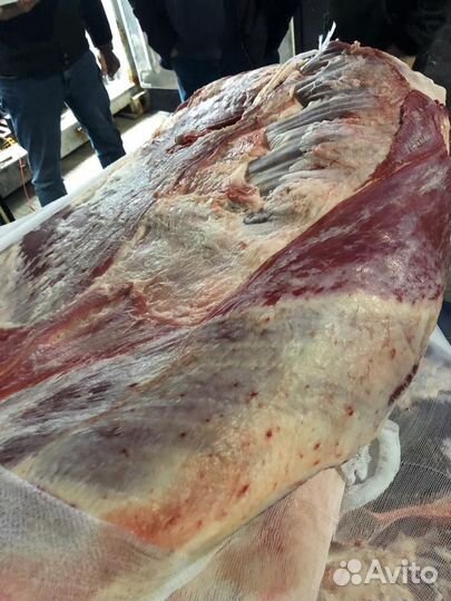 Говядина охлажденная быки в полутушах