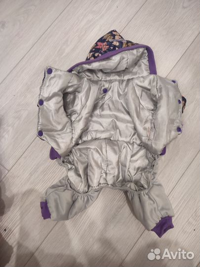 Одежда для маленьких собак s