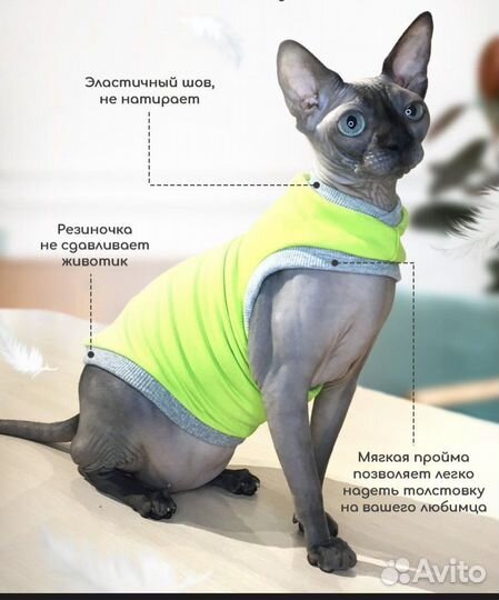Одежда для кошек сфинксов