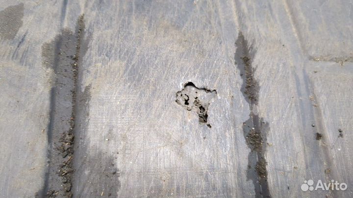 Защита моторного отсека Volkswagen Passat 6, 2009