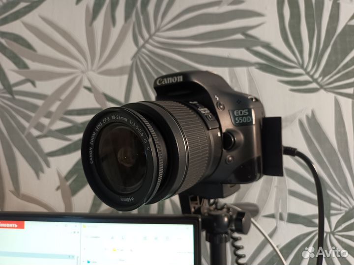 Canon EOS 550D kit + допы