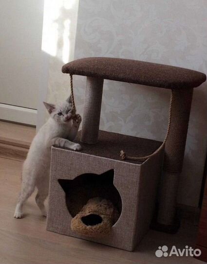 Домик для котят