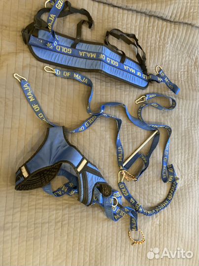 Упряжка для собак