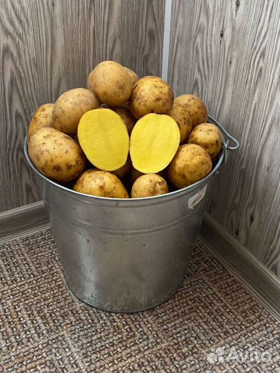 Картофель едовой