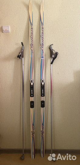 Беговые лыжи