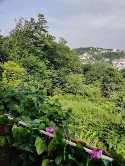 Дом 30 м² на участке 2 сот.