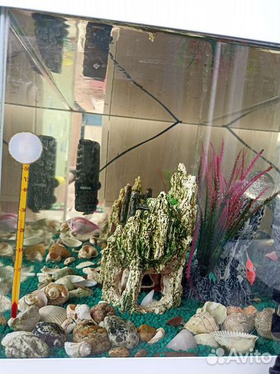 Аквариум