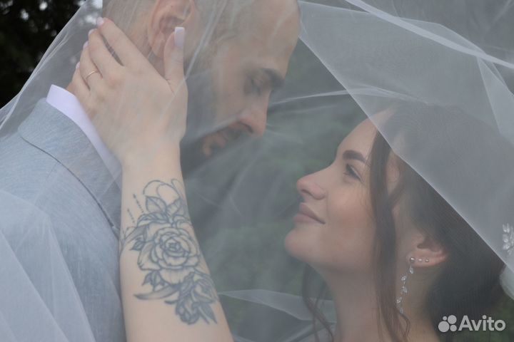 Видеограф, оператор Архангельск