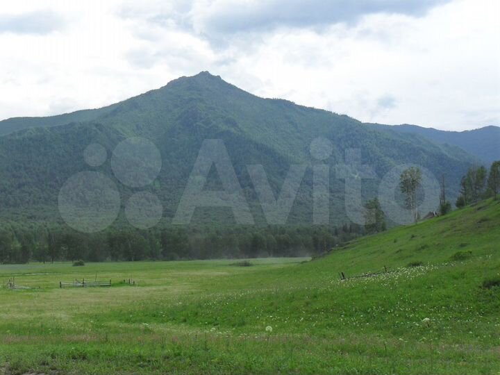 Участок 10 га (СНТ, ДНП)