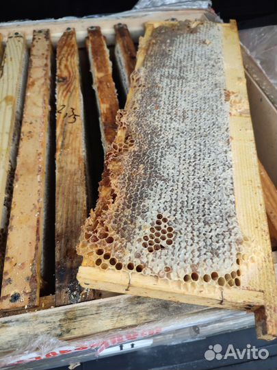 Мед в сотах по 2-2.5кг рамки