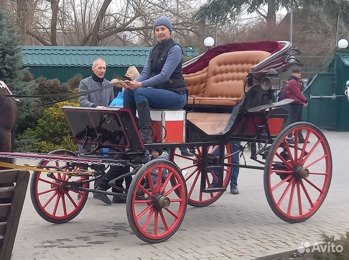 Карета фаэтон для лошади