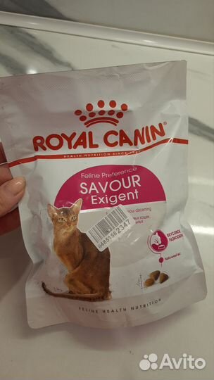 Сухой корм для кошек роял канин