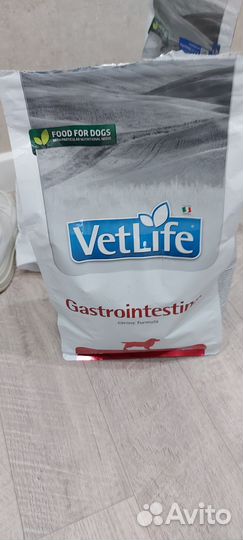 Сухой корм для собак