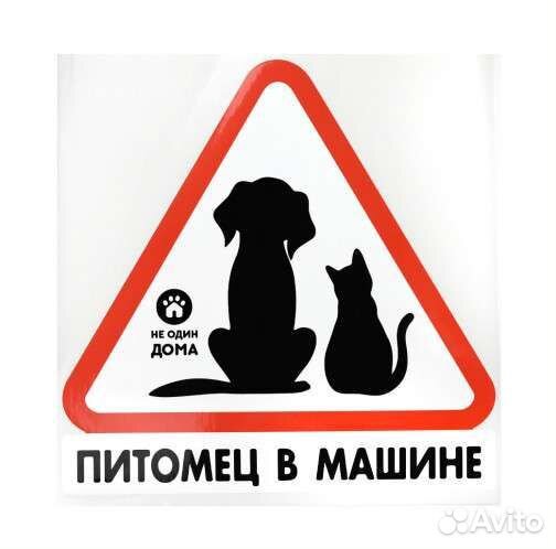 Живое такси Зоотакси Перевозки