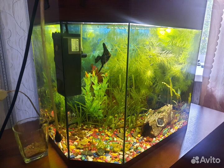 Аквариум