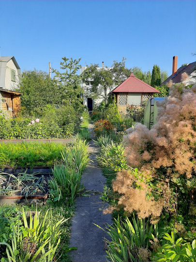 Дача 100 м² на участке 7,2 сот.