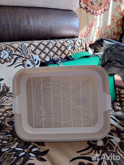 Кошачья переноска и лоток