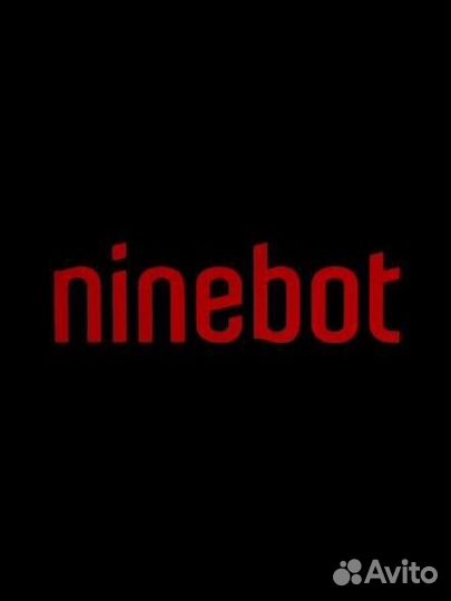 Ремонт и прошивка электросамокатов ninebot