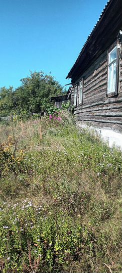 Дом 37 м² на участке 19 сот.