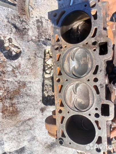 Блок двигателя в сборе на Лада Калина