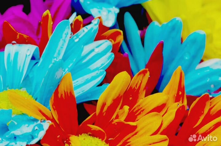 Требуется Водитель категории В Со своим авто Питан