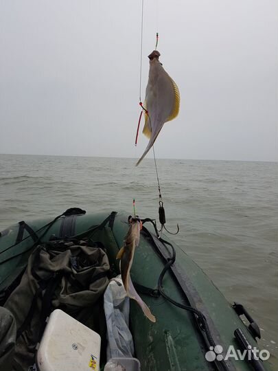 Лодка Camper 3,6 и лодочный мотор suzuki df20as