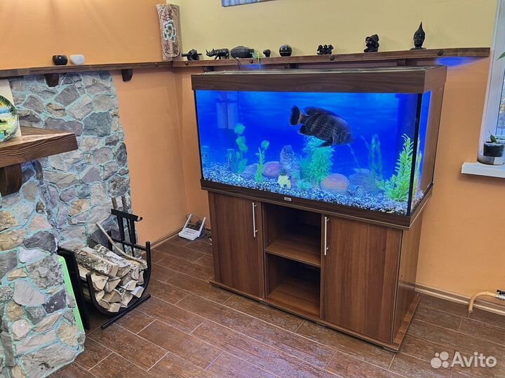 Аквариум с тумбой juwel 350 л