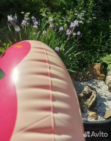 Надувной круг пончик