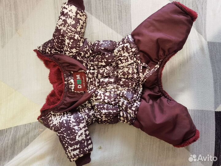 Осенняя куртка для собак мелкий пород