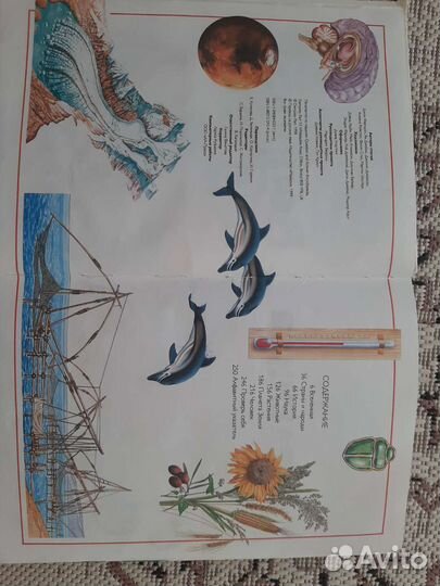 Книга для детей. Воросы и ответы