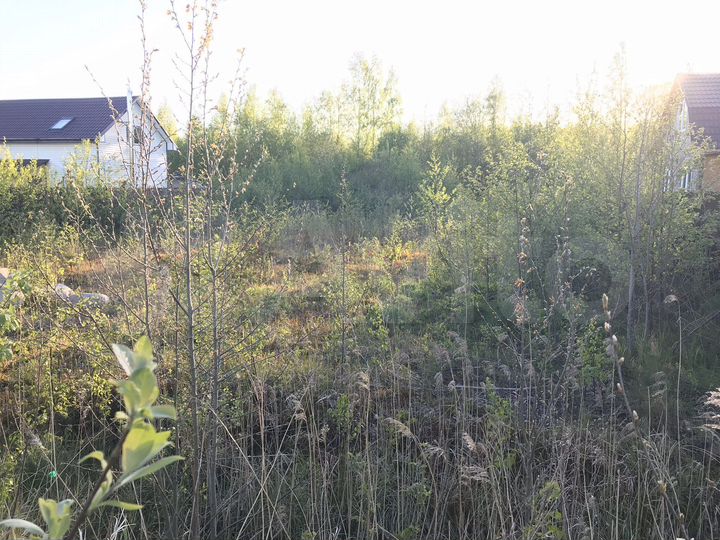 Участок 8 сот. (СНТ, ДНП)