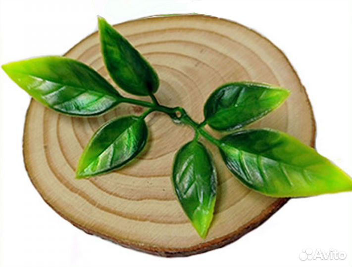 Листья для букета (50 шт)