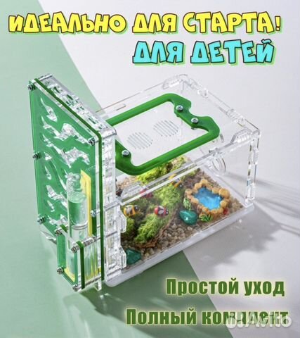 Муравьиная ферма