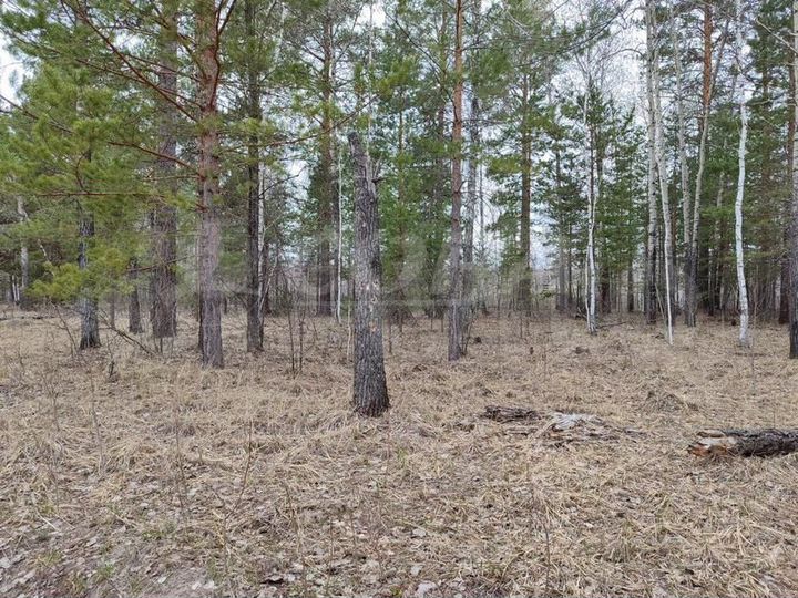 Участок 9,7 га (СНТ, ДНП)