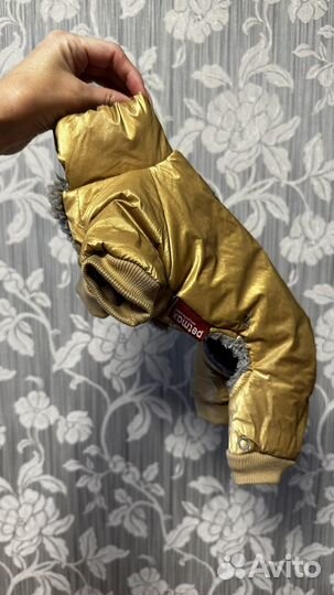 Одежда для собак мелких пород