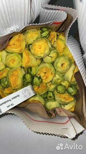 Розы кустовые, готовые букеты, цветы, розы