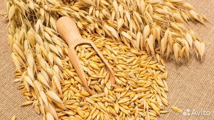 Овес в мешках