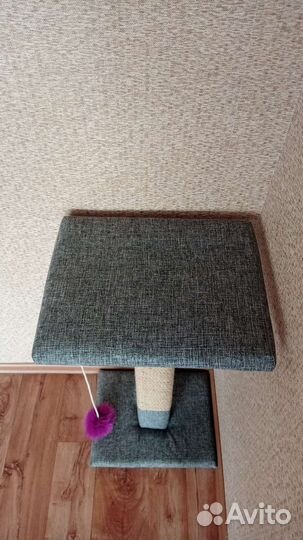 Когтеточка для кошек