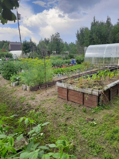 Участок 10 сот. (СНТ, ДНП)