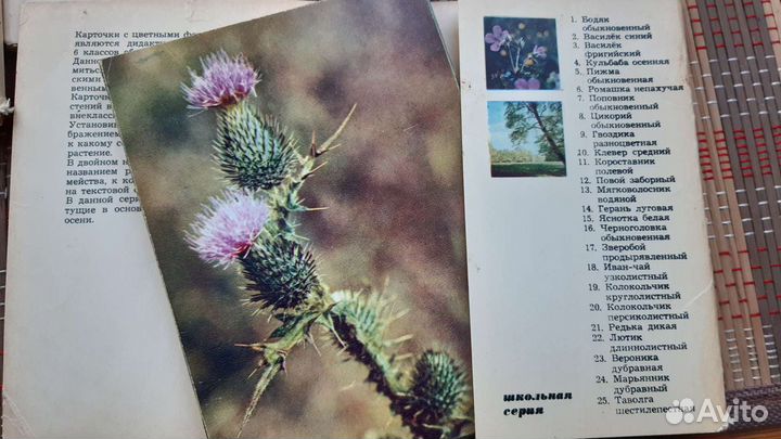 Набор открыток