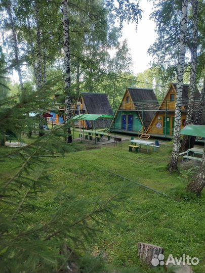 База отдыха кэтк Шевели