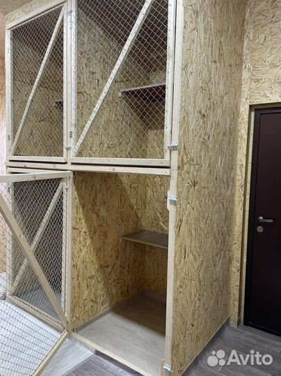 Передержка для животных кошек, грызунов, птиц