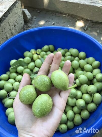 Целебные варенья и сиропы