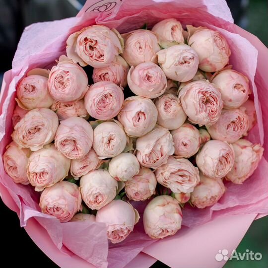 Кустовая пионовидная роза Мэнсфилд 50см. Цветы