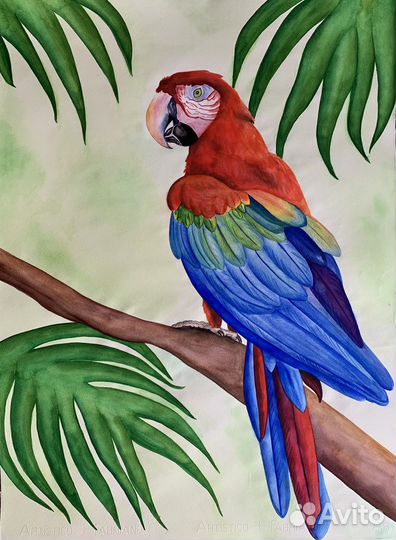 Картина «Тропический попугай», 50*70 см, акварель