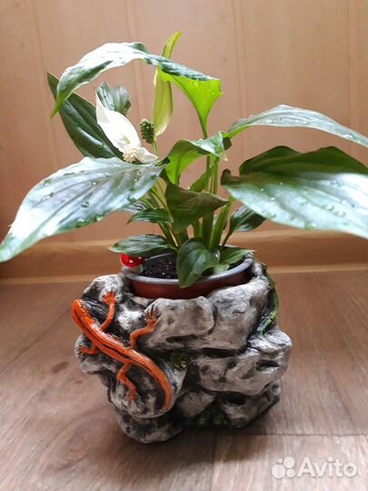 Кашпо новые (керамика, полистоун )