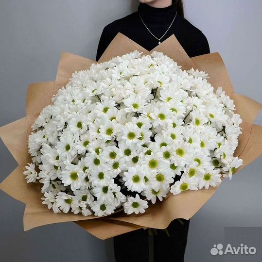 Хризантема Букет хризантем Доставка
