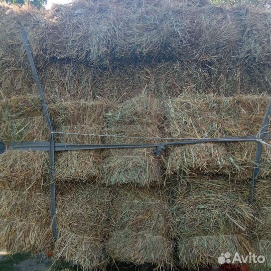 Сено луговое в тюках