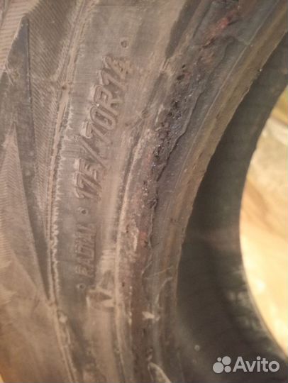 Viatti Brina Nordico V-522 175/70 R14