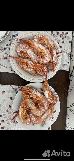 Лангустины крупные